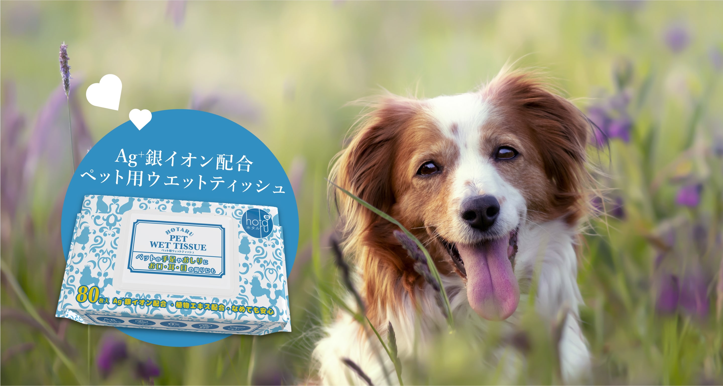 ペット用ウェットティッシュ