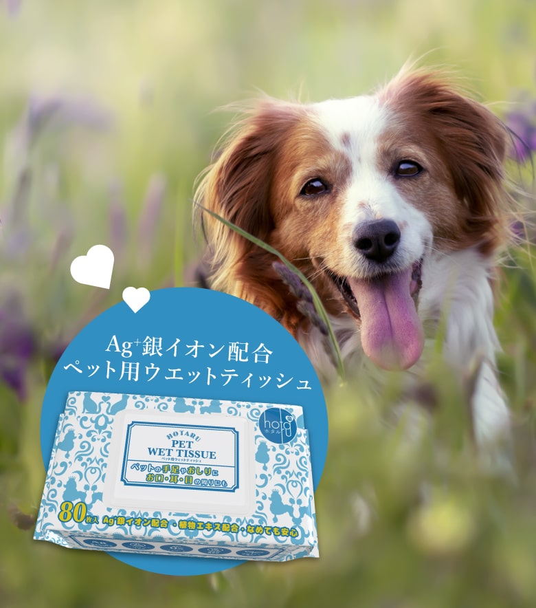 ペット用ウェットティッシュ