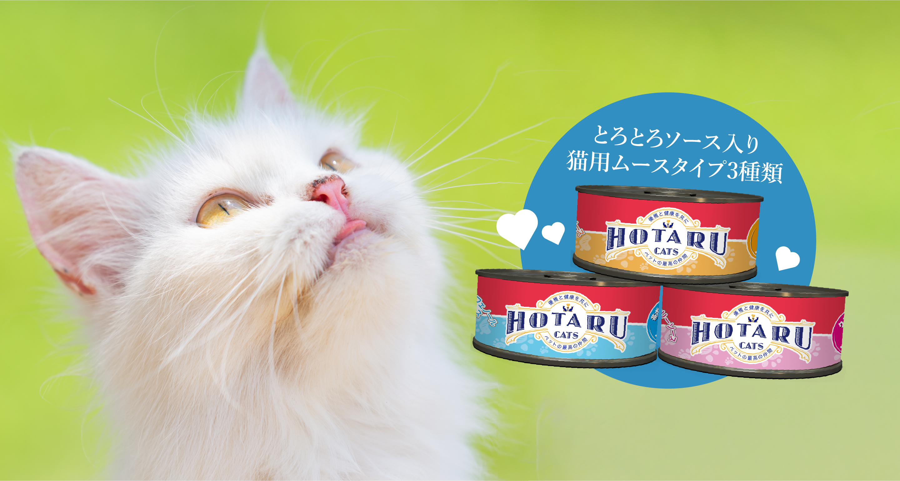 猫用ムース