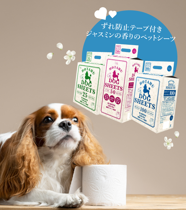 ペットシーツ
