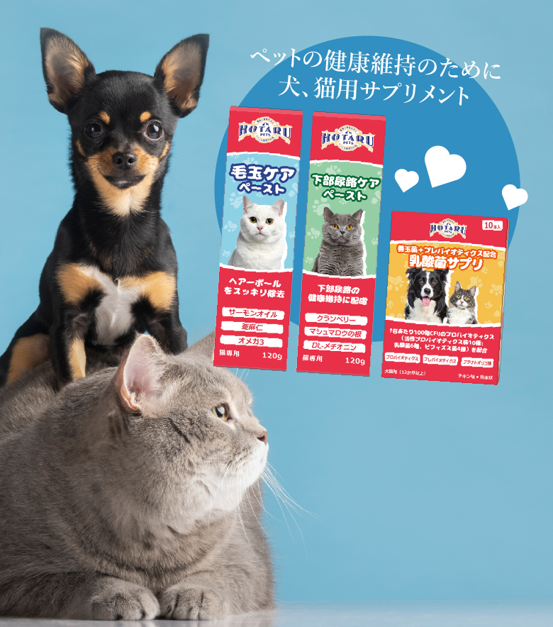 ホタル HOTARU | 優雅と健康を共に、ペットの最高の仲間