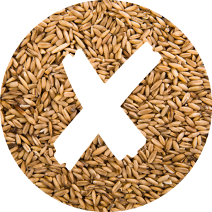 穀物不使用で消化しやすい