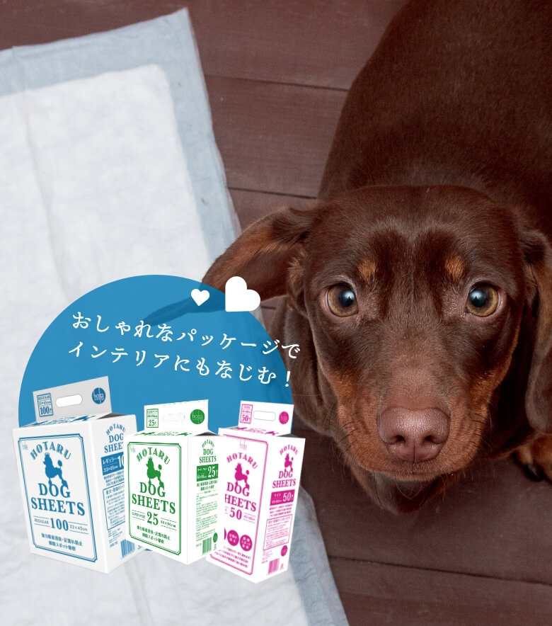 ペットシーツ